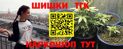 гашик Будённовск