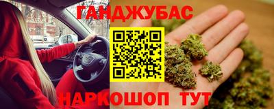 гашик Будённовск