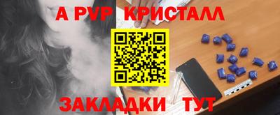 гашик Будённовск