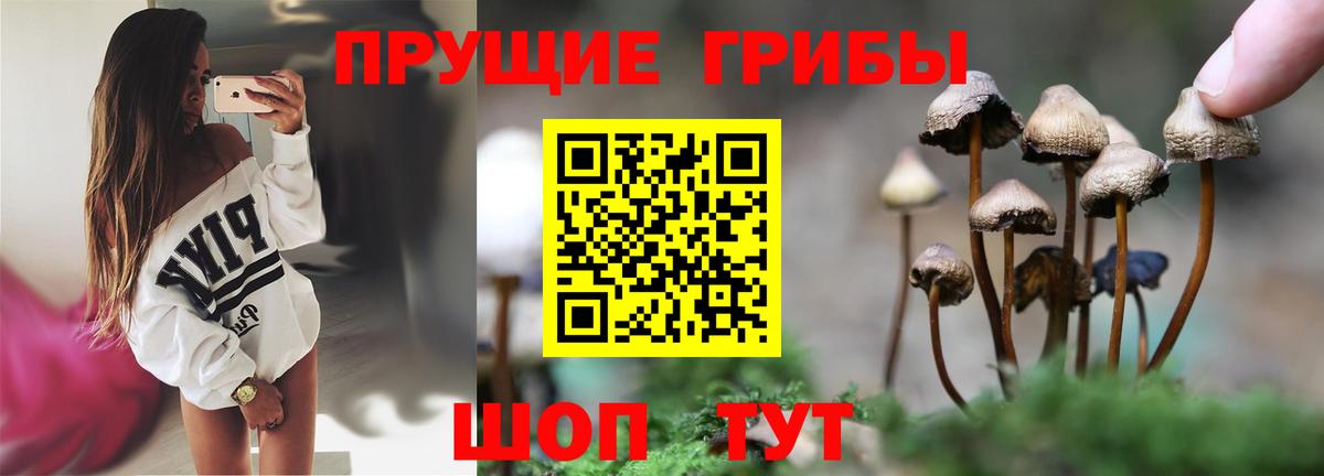 Миасс  Галлюциногенные грибы прущие грибы  Вход с VPN  Псилоцибиновые грибы ЛСД 