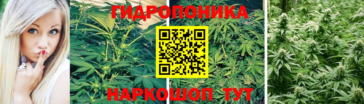 Шишки марихуана конопля  Вход с VPN  Каннабис Ganja  Миасс 